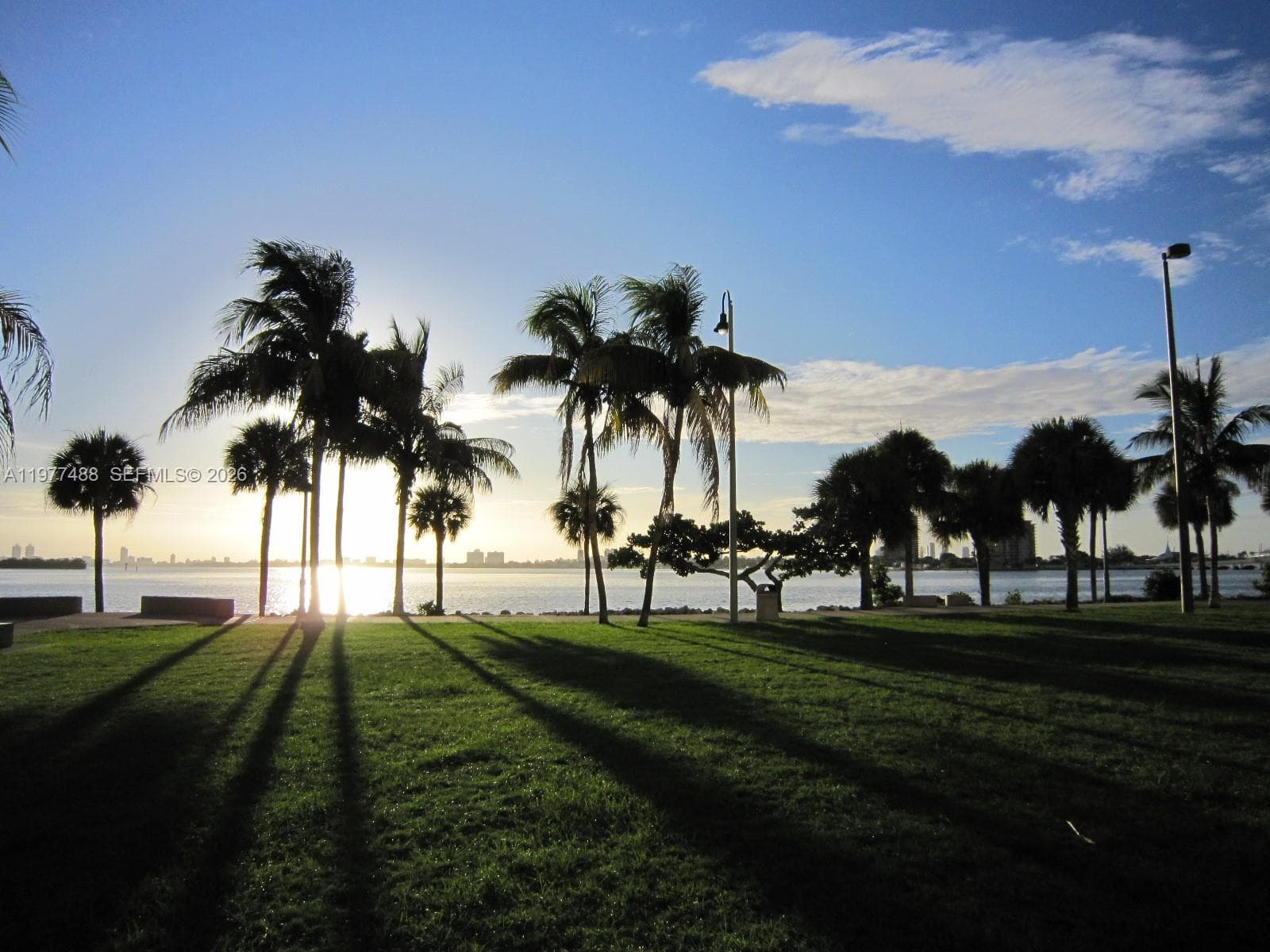 2000 N Bayshore Dr # 1502, Miami FL 33137 — 33