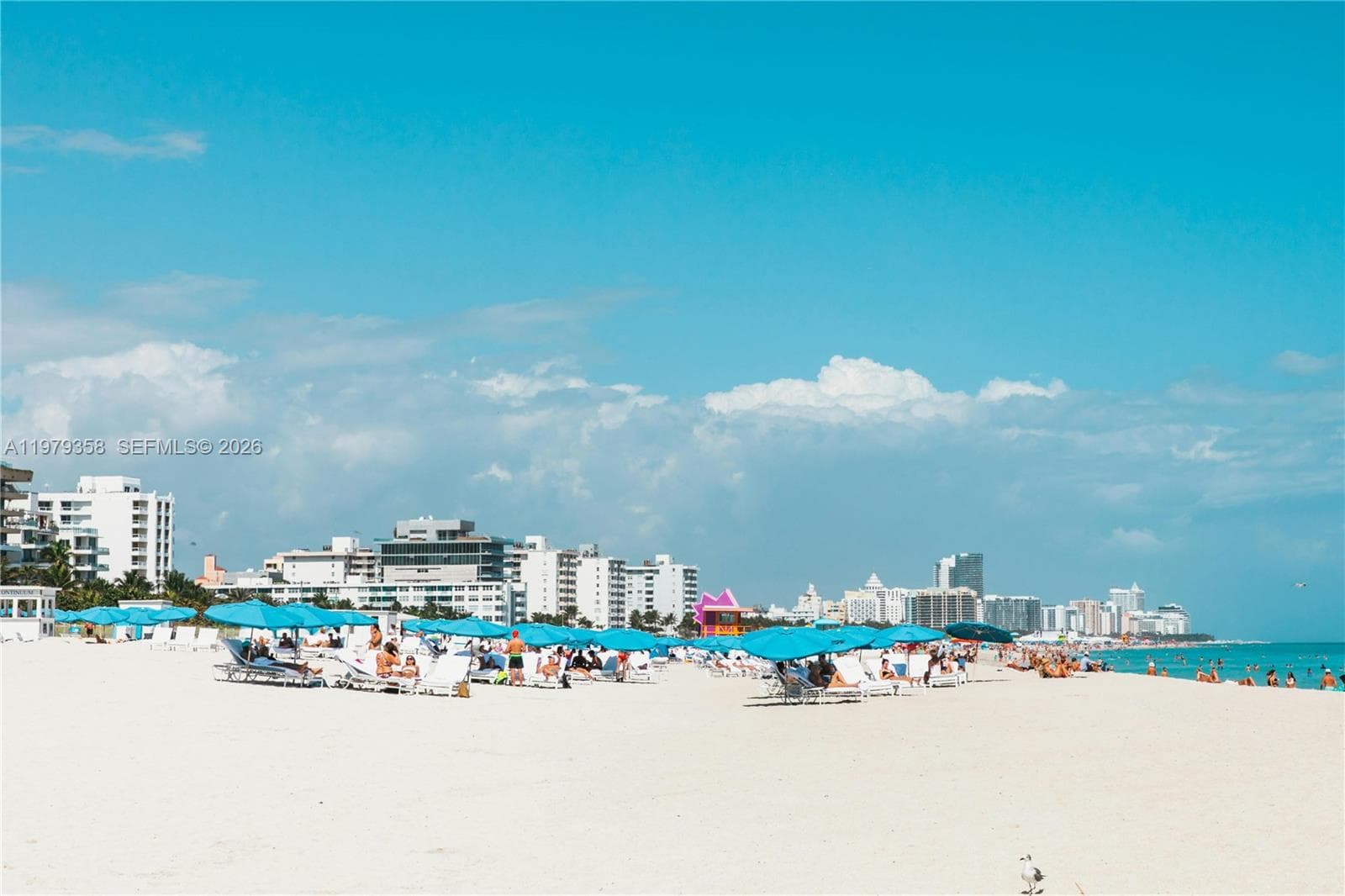 915 Jefferson Ave # 2C, Miami Beach FL 33139 — 14