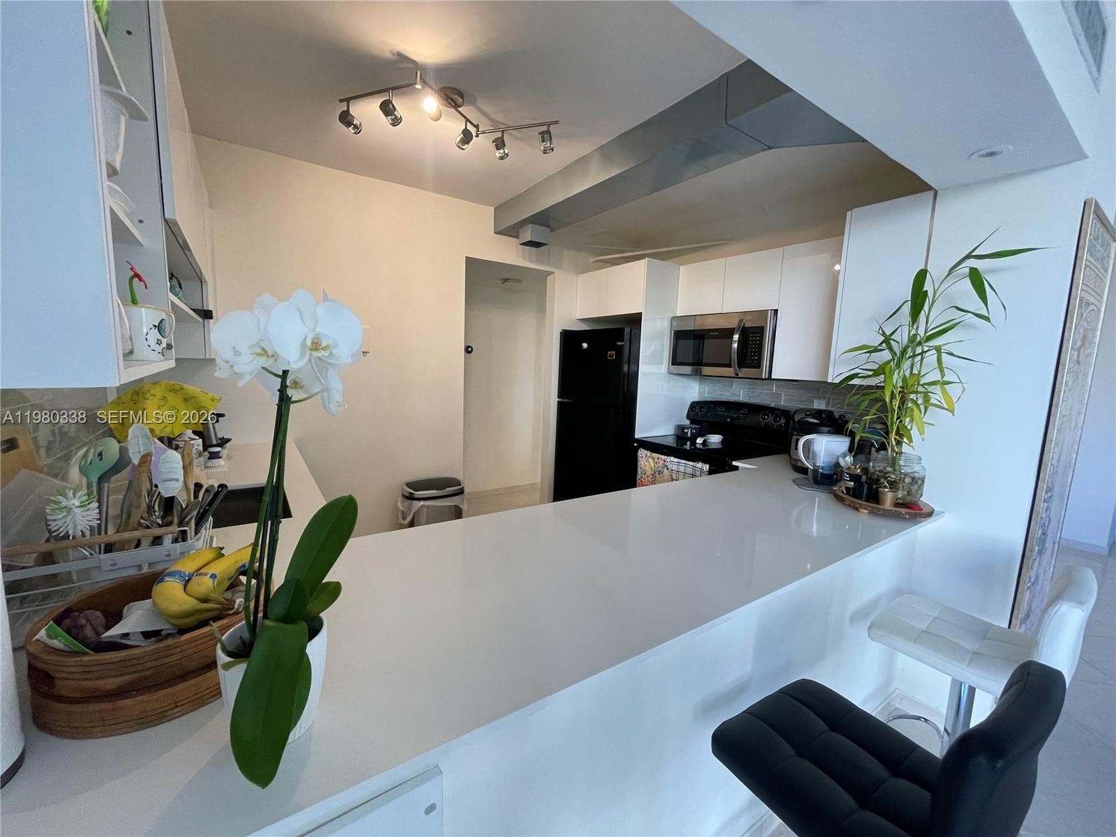 11111 Biscayne Blvd # 4E, Miami FL 33181 — 11