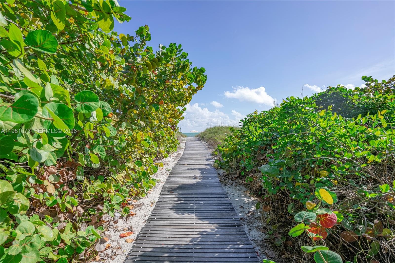 199 Ocean Lane Dr # 1207, Key Biscayne FL 33149 — 29