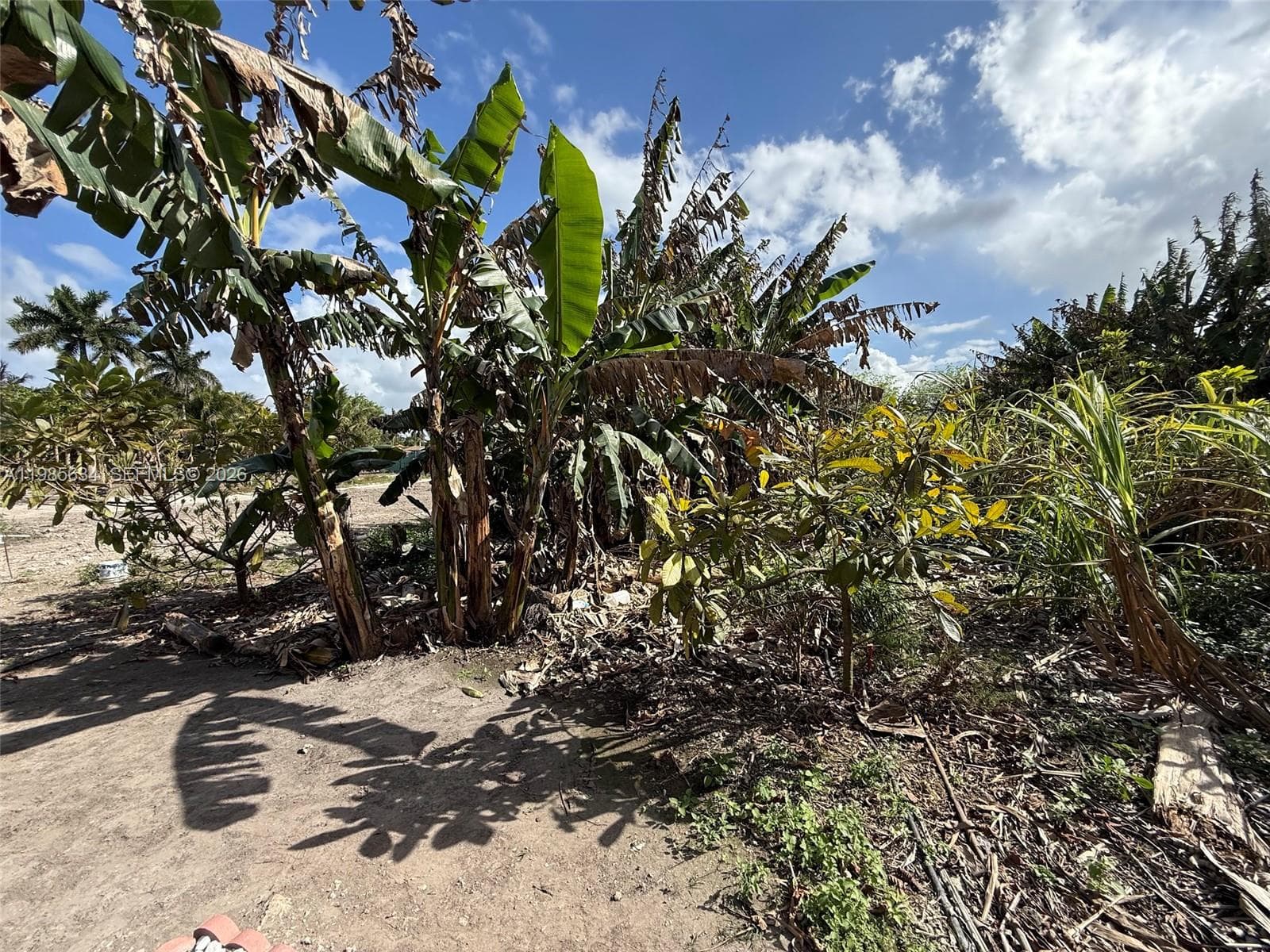 16455 SW 207, Homestead FL 33187 — 1