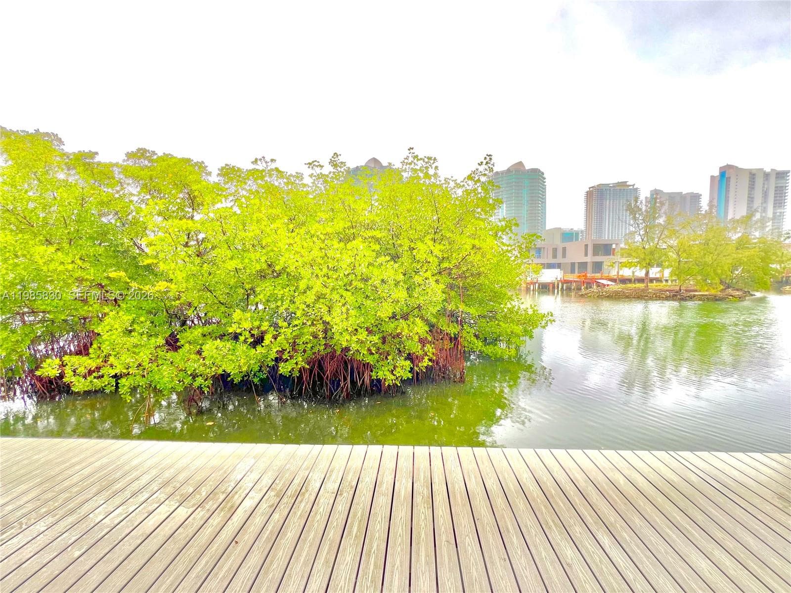 245 Poinciana Island Dr # 505, Sunny Isles Beach FL 33160 — 24