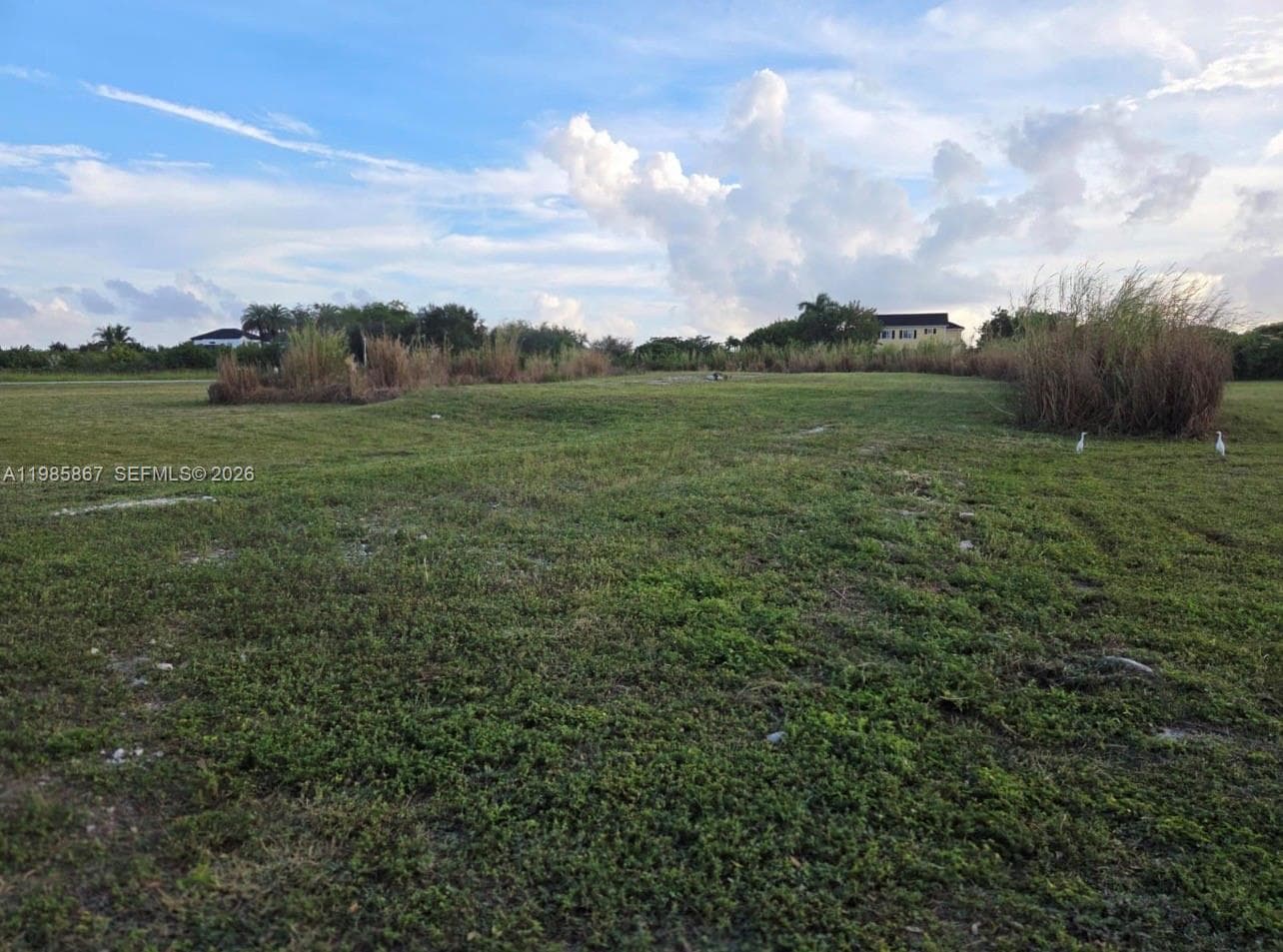 35250 SW 218th Ave, Homestead FL 33034 — 4