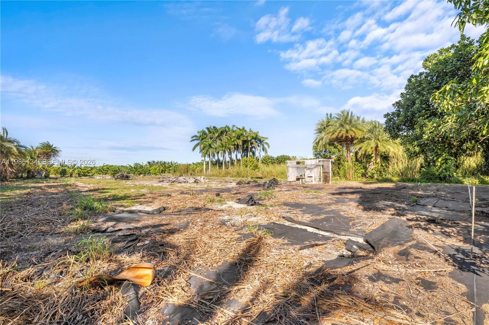 31500 SW 207th Ave, Homestead FL 33030 — 37