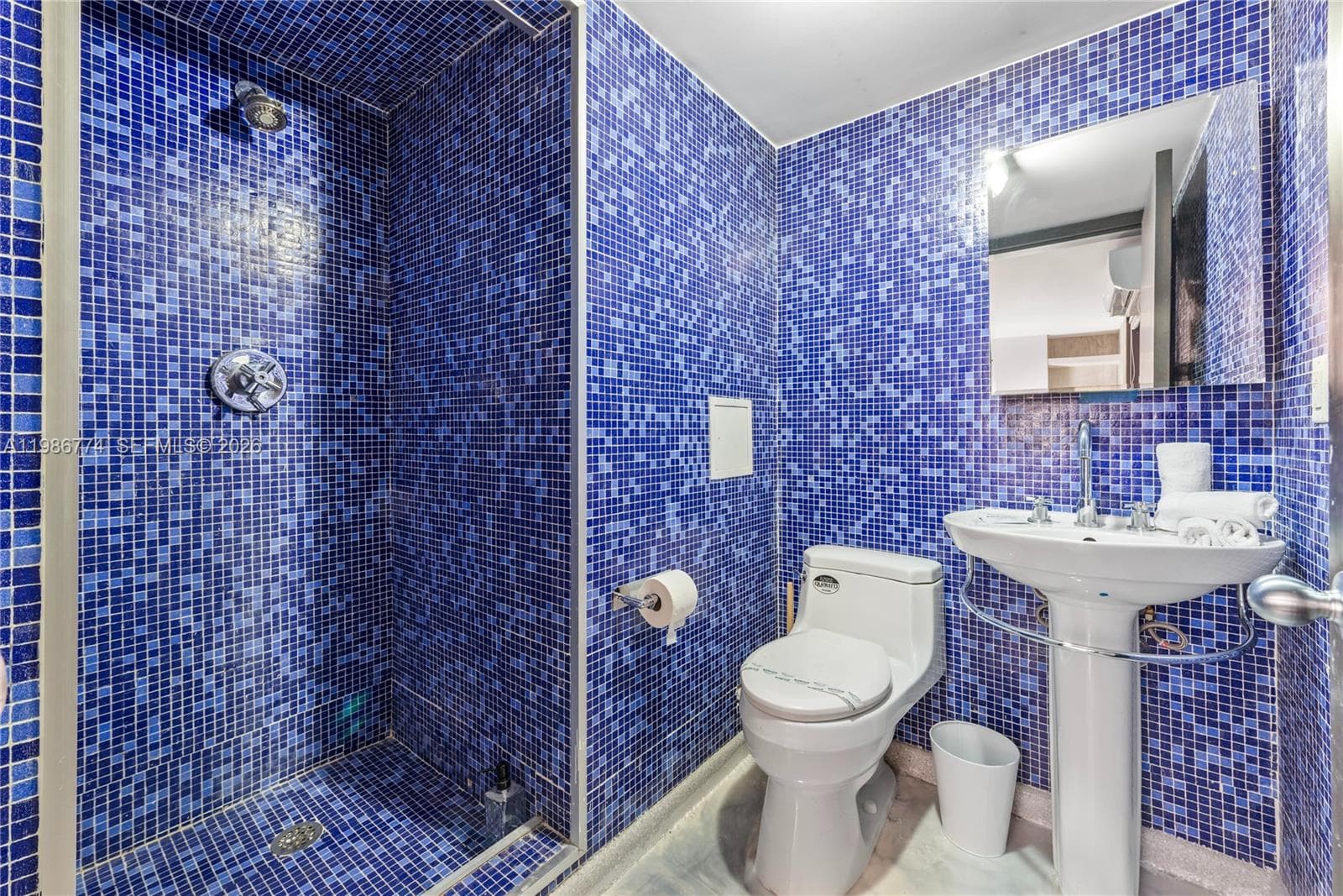 1606 S Bayshore Dr, Miami FL 33133 — 55
