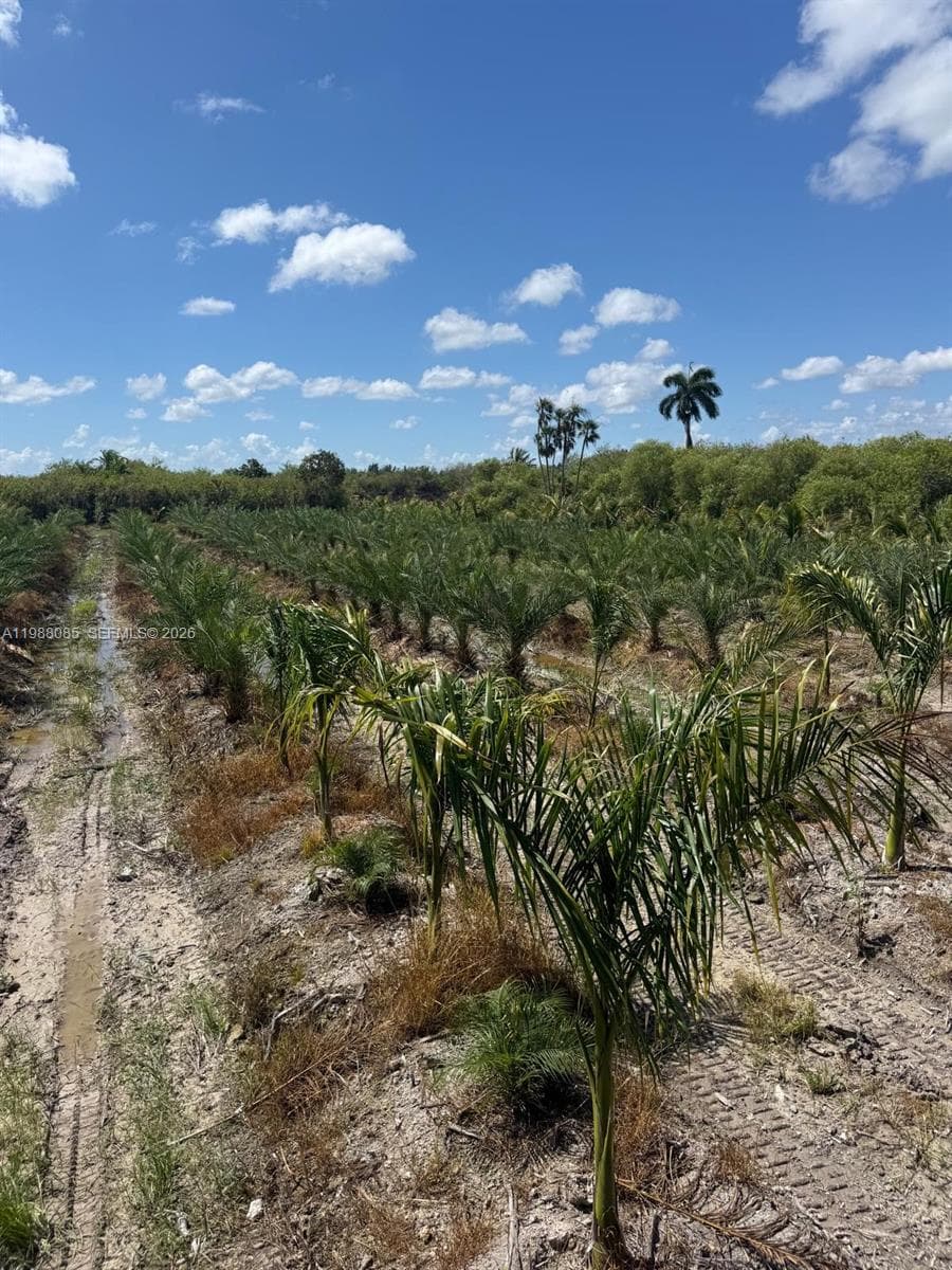 122 ave sw 330 st, Homestead FL 33035 — 3