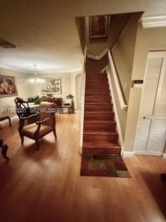 16236 SW 100th Ter, Miami FL 33196 — 8