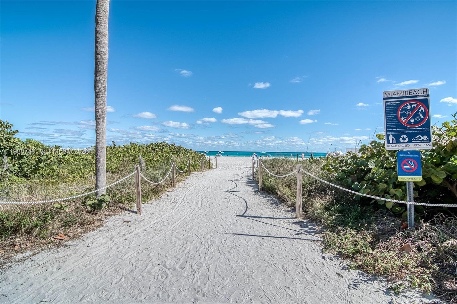 3737 Collins Ave # 203, Miami Beach FL 33140 — 16