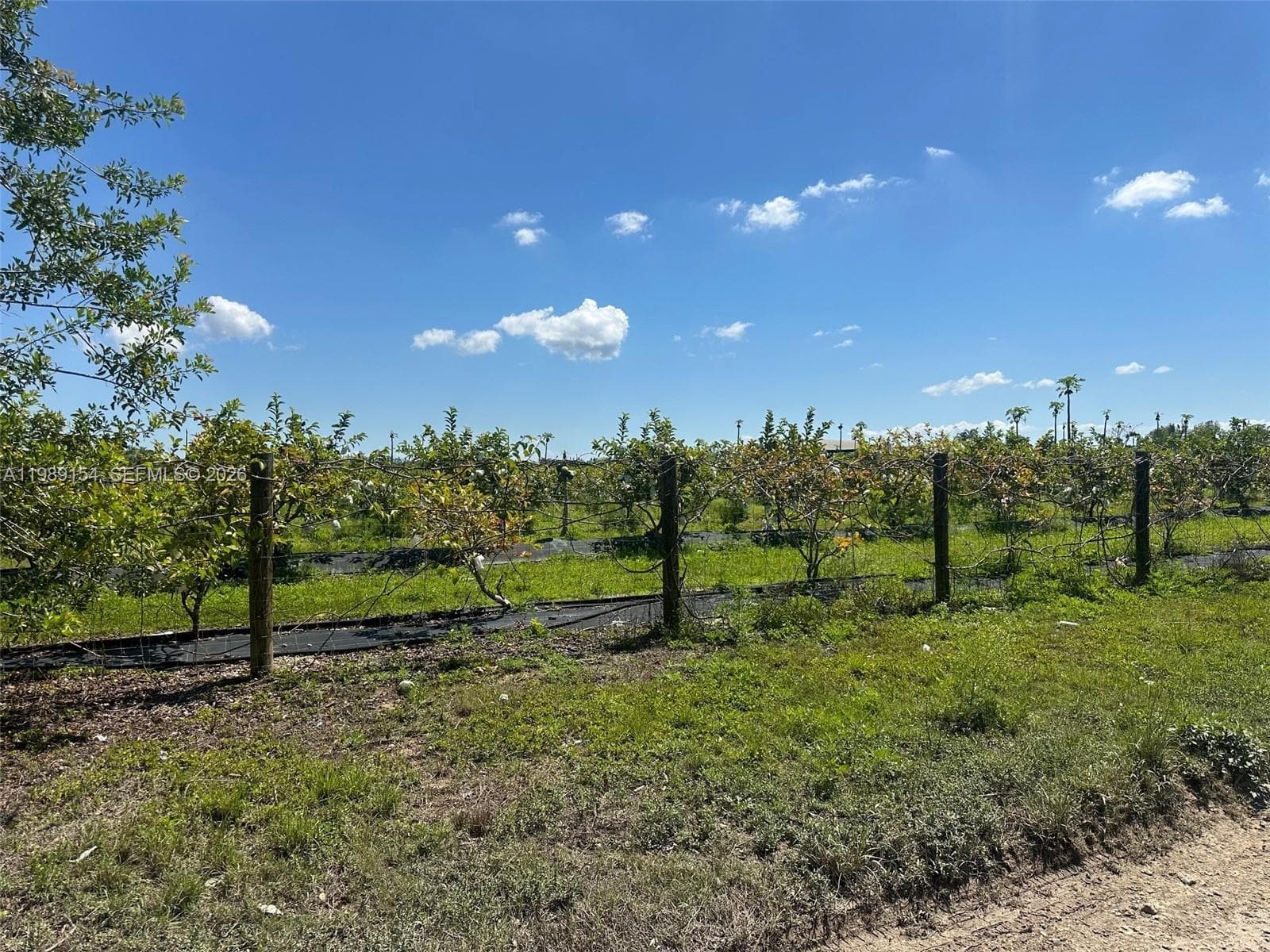212XX SW 360 ST, Homestead FL 33034 — 3