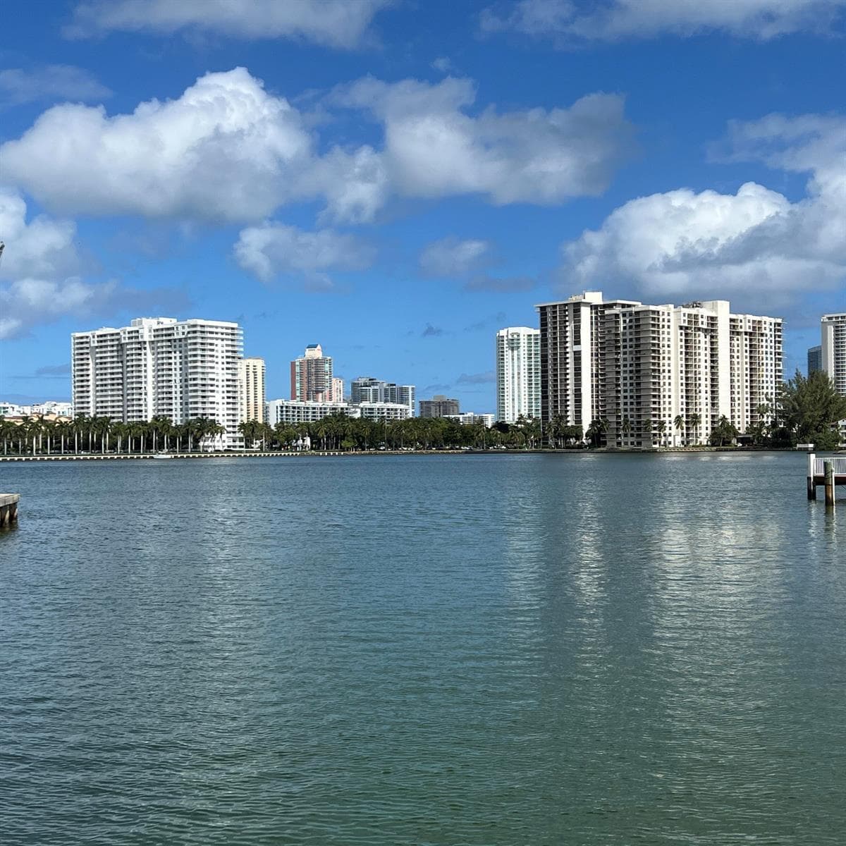 2855 Leonard Drive # H506, Aventura FL 33160 — 35