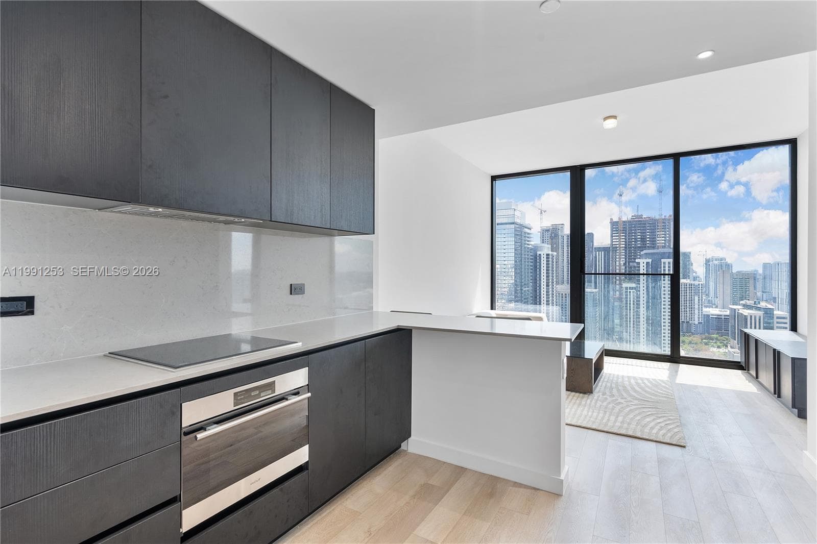 20 NE 11th St # 3809, Miami FL 33132 — 12