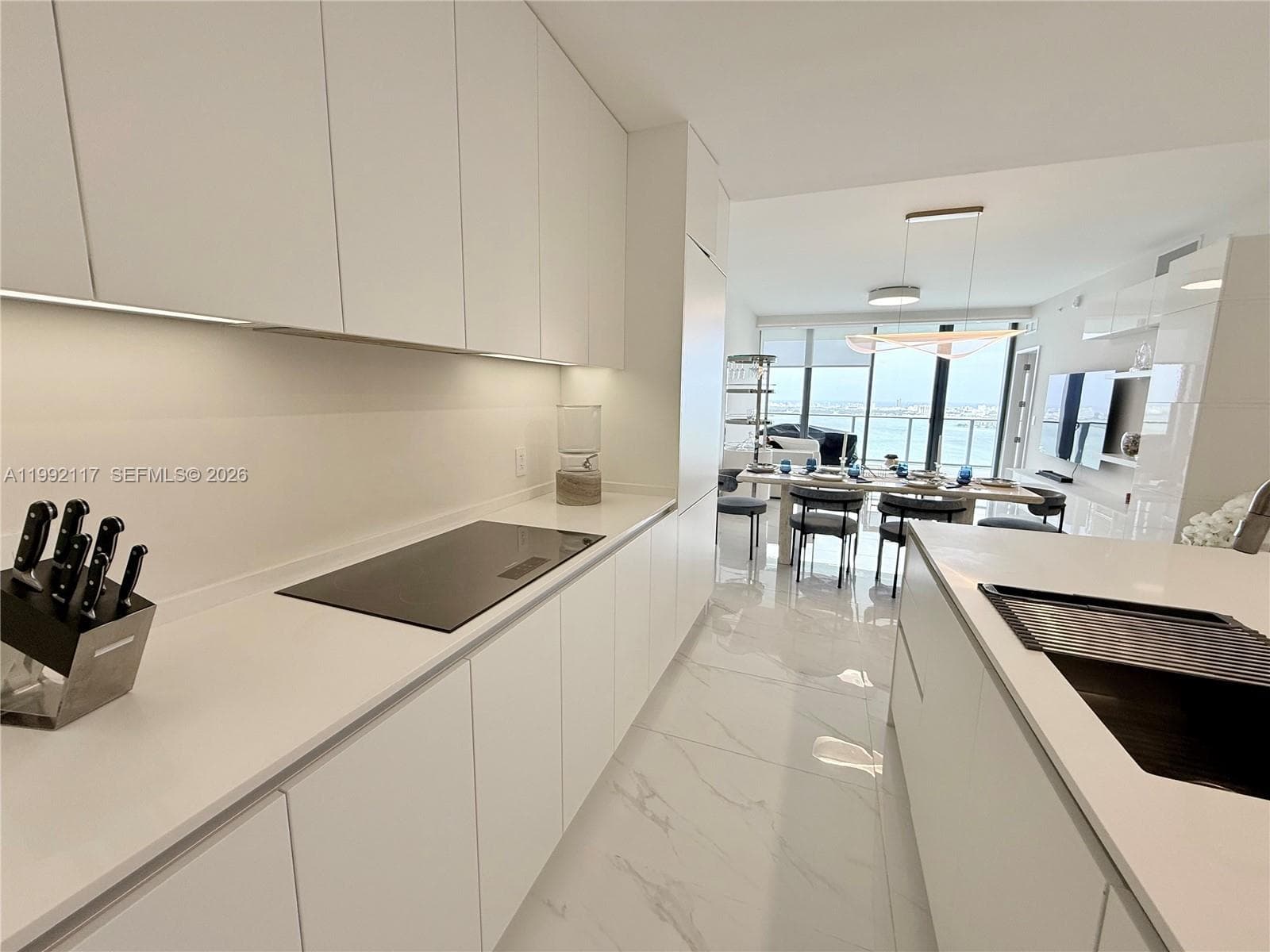 700 NE 24 street # 3802, Miami FL 33137 — 28
