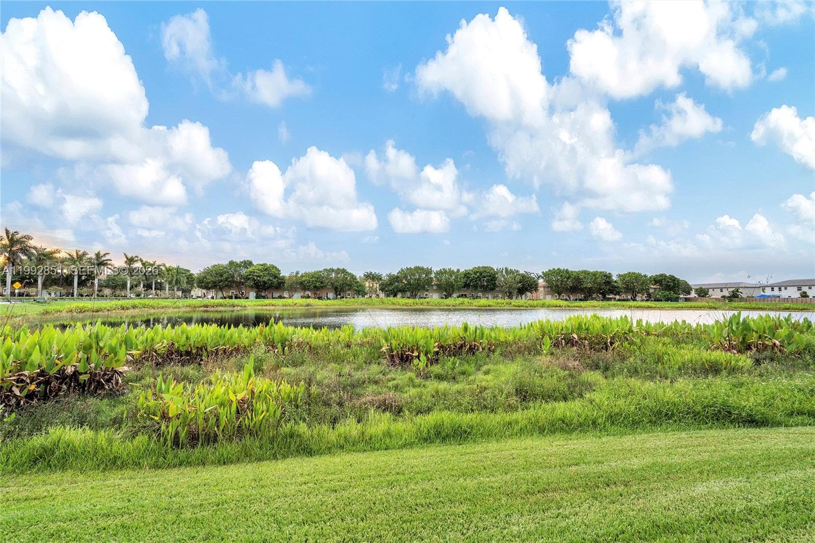 2411 SE 14th St, Homestead FL 33035 — 34
