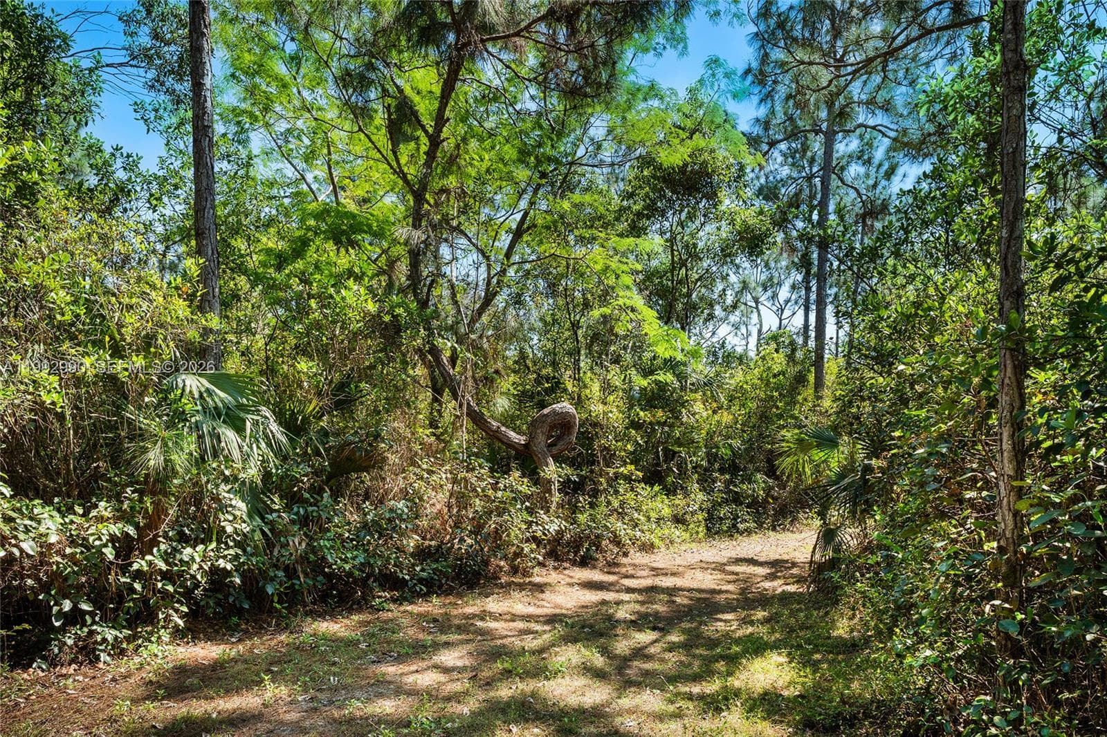 15000 SW 200th St, Miami FL 33187 — 52