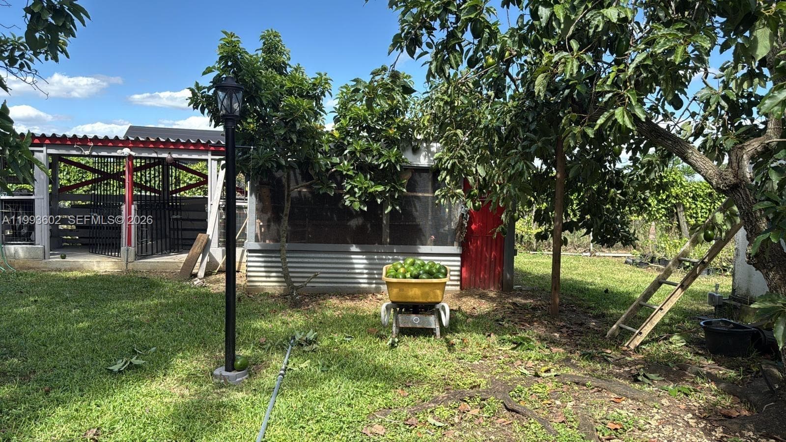18441 SW 238th St, Homestead FL 33031 — 11