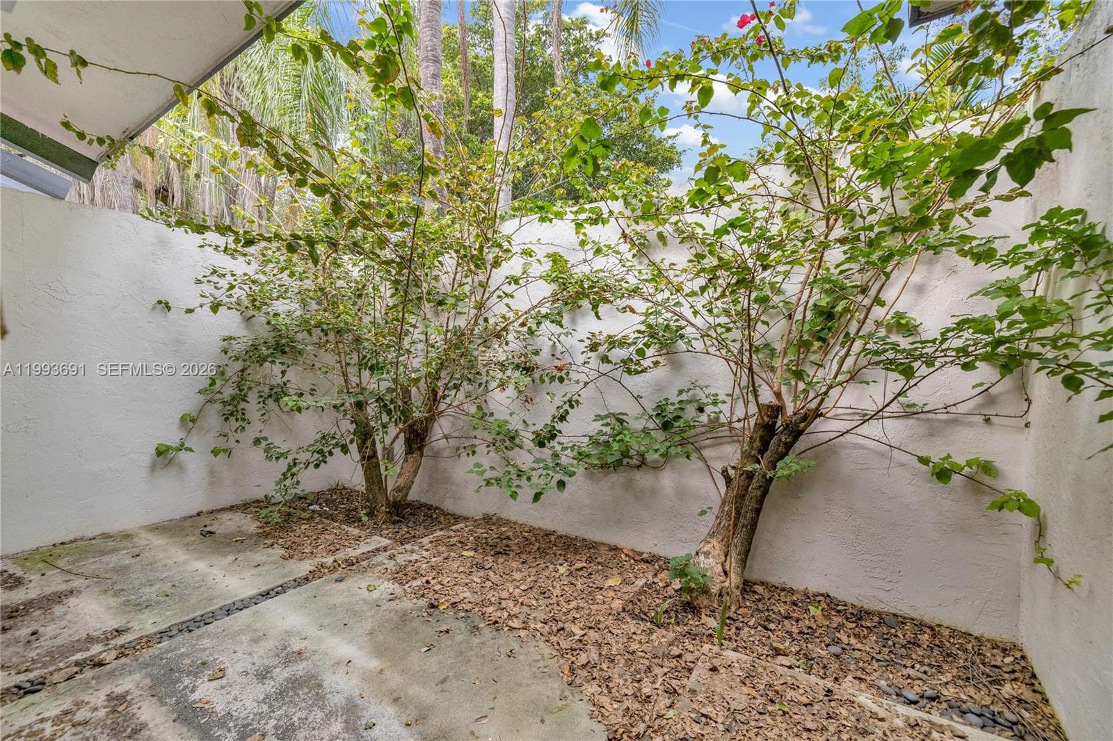 3056 Shipping Ave # 2, Miami FL 33133 — 13