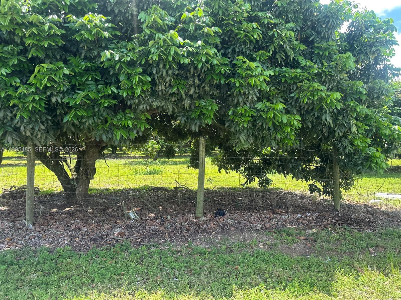 SW 344 St., Homestead FL 33034 — 23