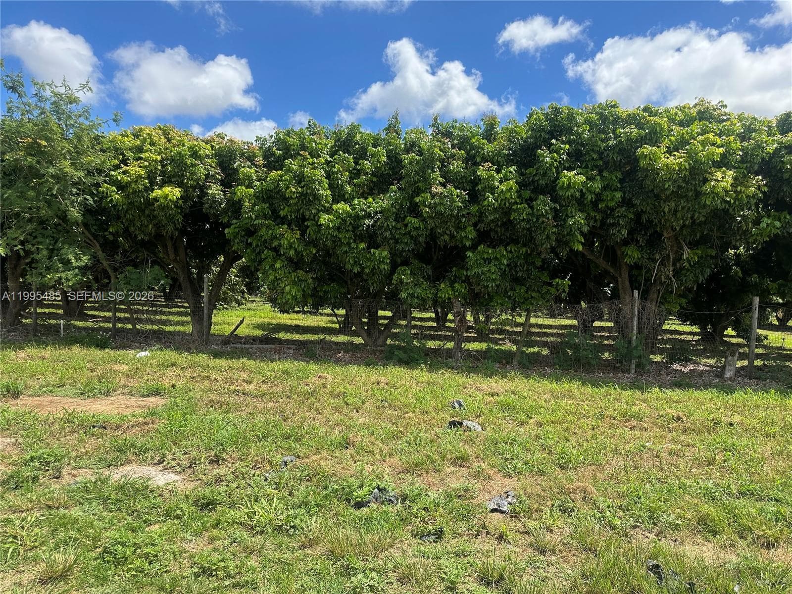 SW 344 St., Homestead FL 33034 — 16