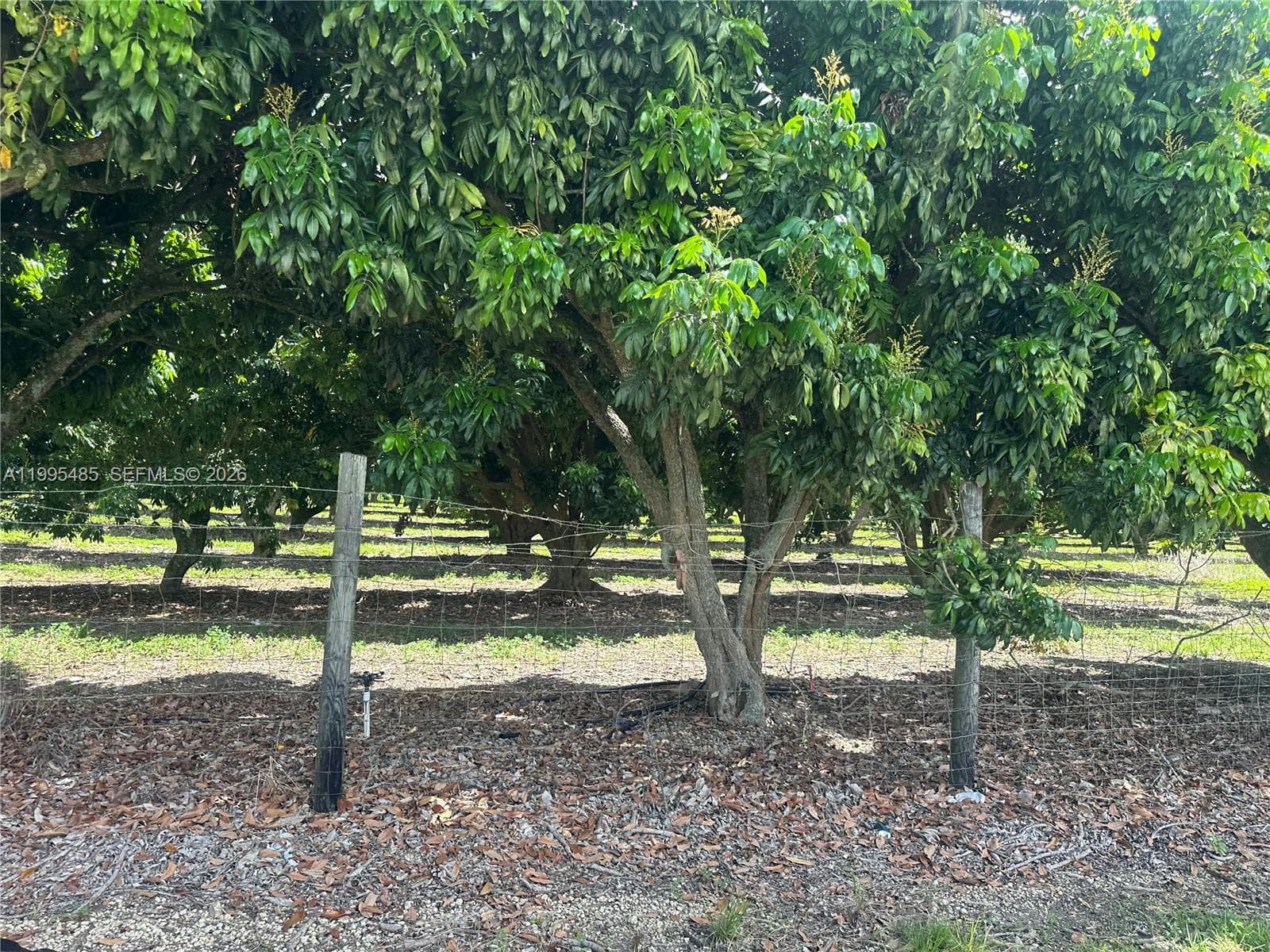SW 344 St., Homestead FL 33034 — 11