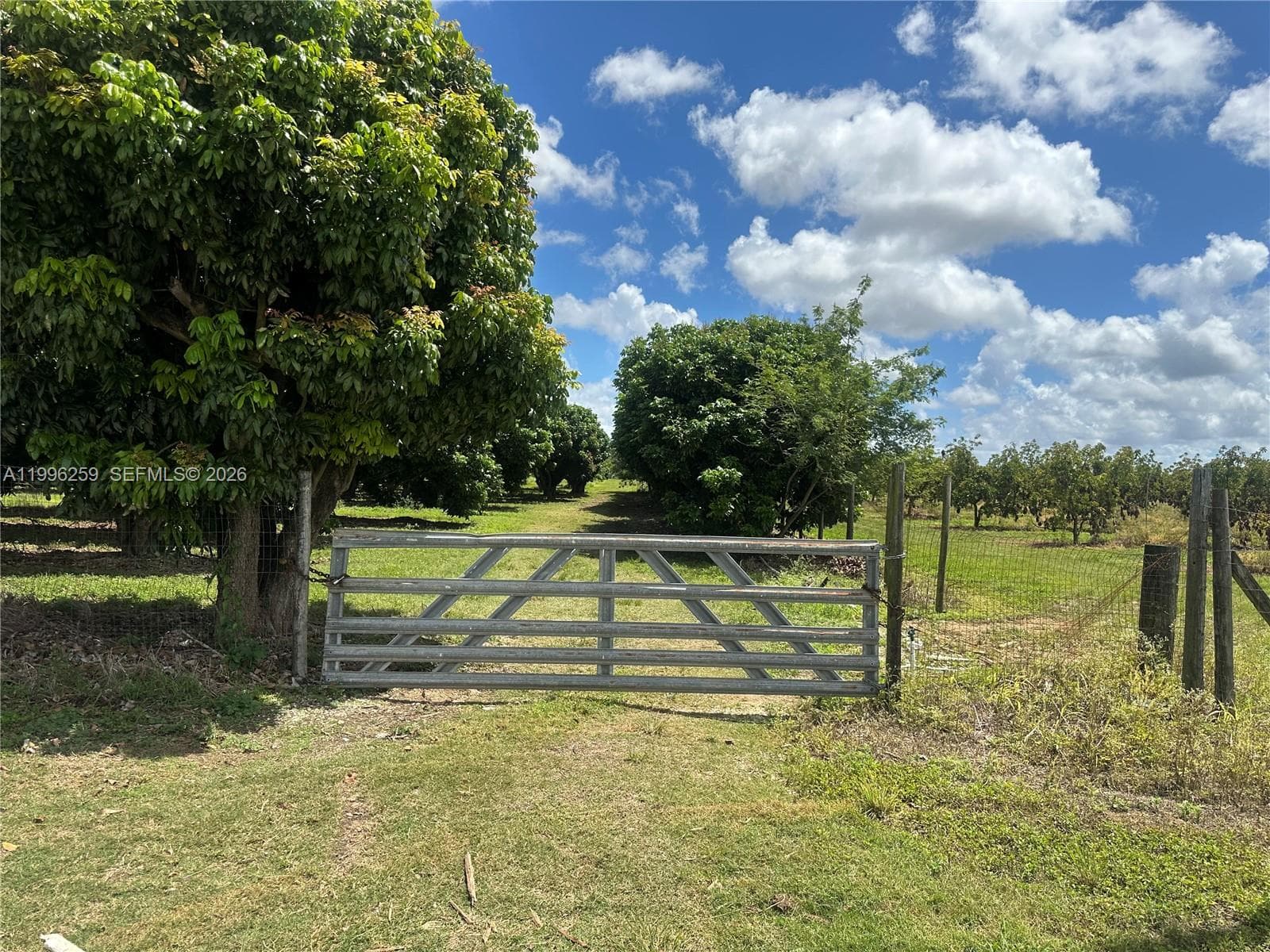 206XX SW 344 ST, Homestead FL 33034 — 2