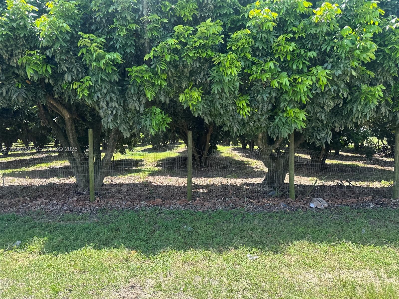 206XX SW 344 ST, Homestead FL 33034 — 6