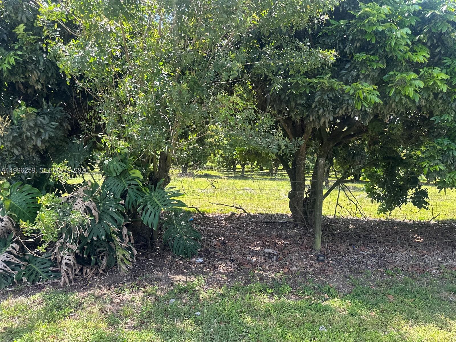 206XX SW 344 ST, Homestead FL 33034 — 12