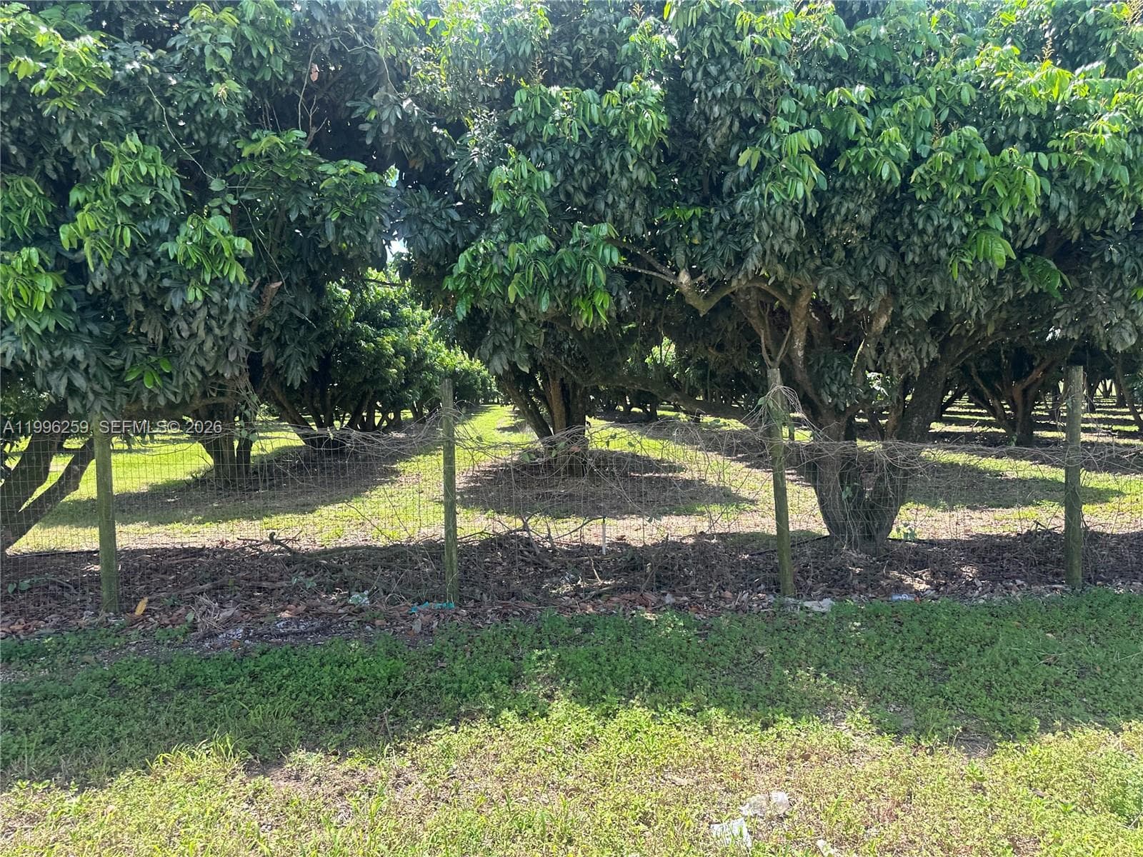 206XX SW 344 ST, Homestead FL 33034 — 7