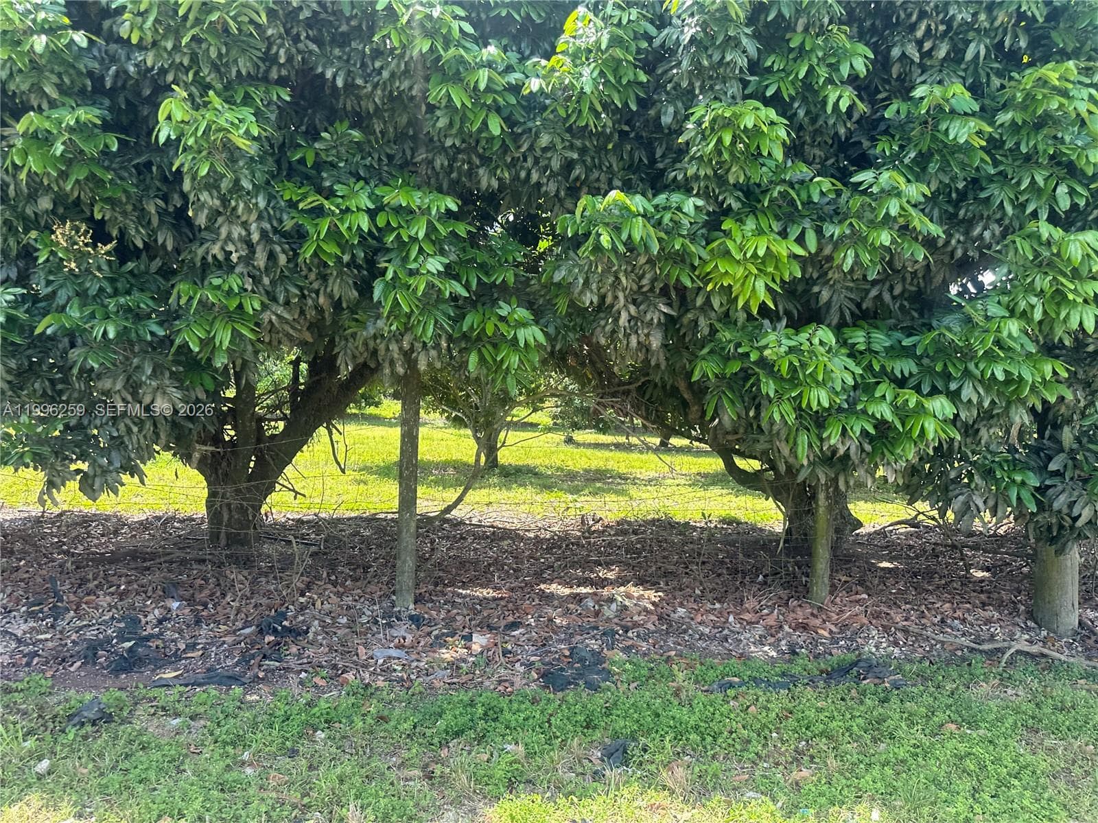 206XX SW 344 ST, Homestead FL 33034 — 11