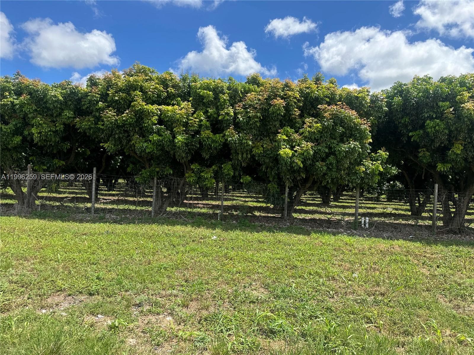 206XX SW 344 ST, Homestead FL 33034 — 4