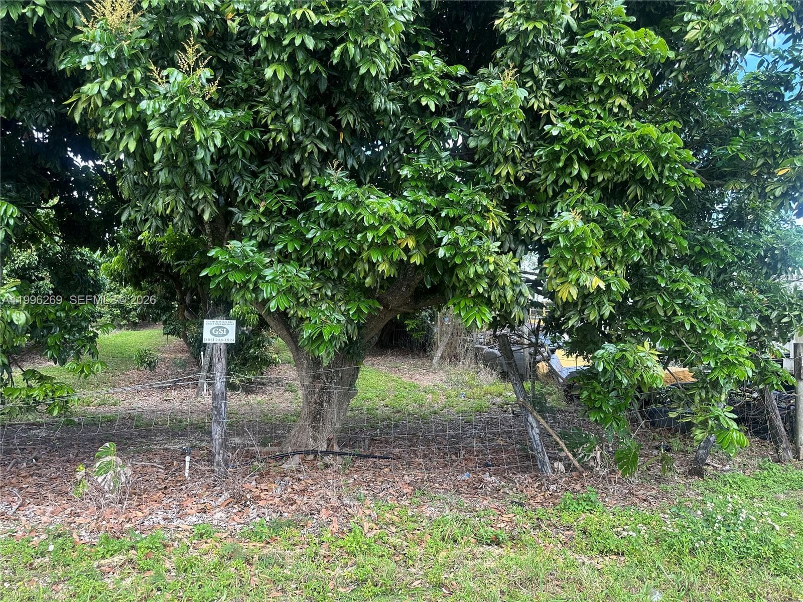 South Redland, Homestead, FL — 6