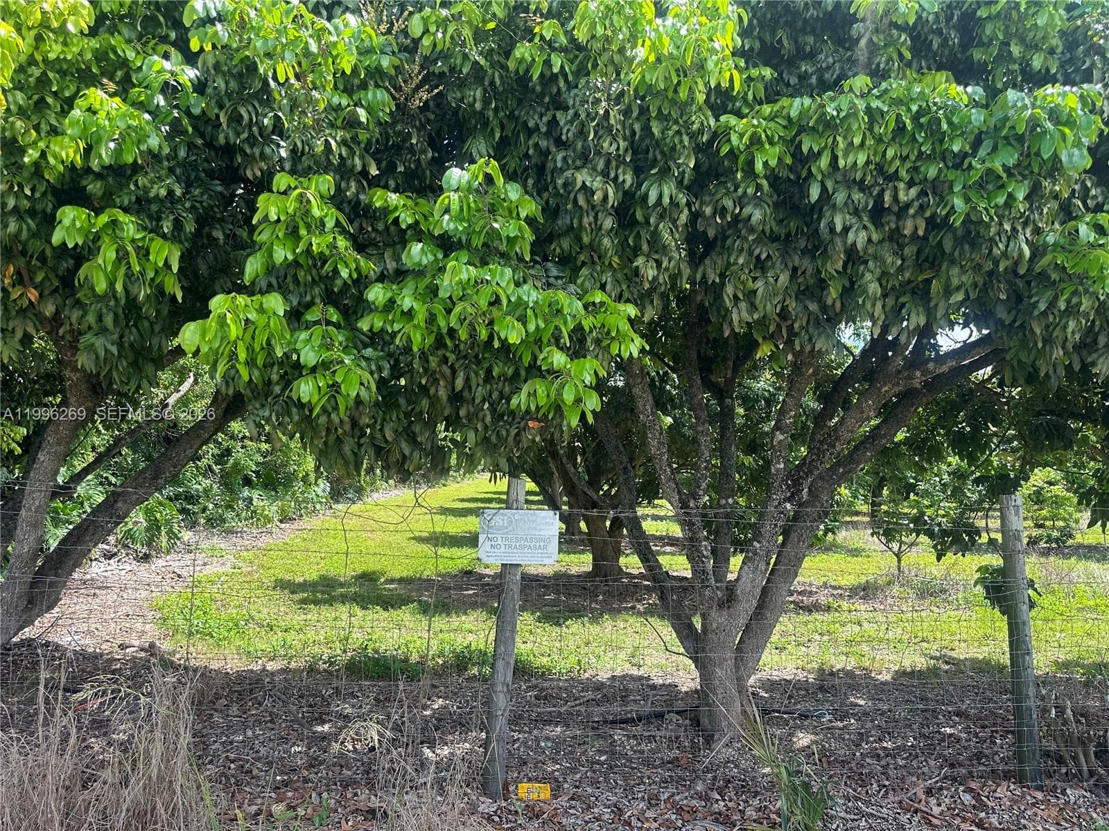 South Redland, Homestead, FL — 16