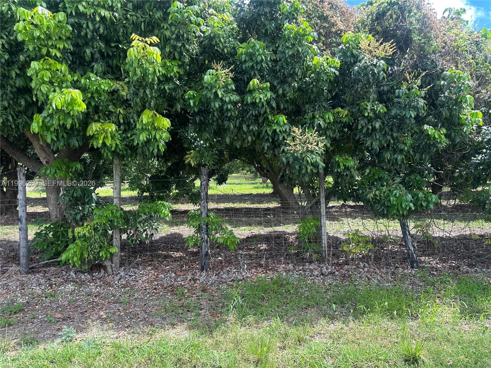 South Redland, Homestead, FL — 12