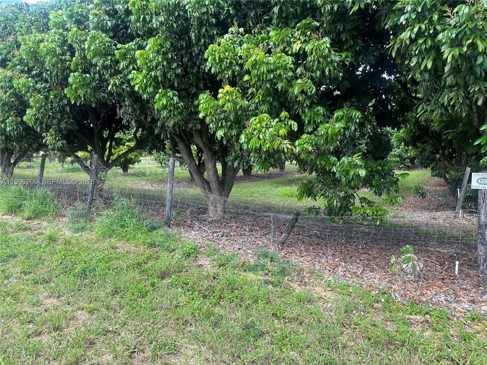 South Redland, Homestead, FL — 7