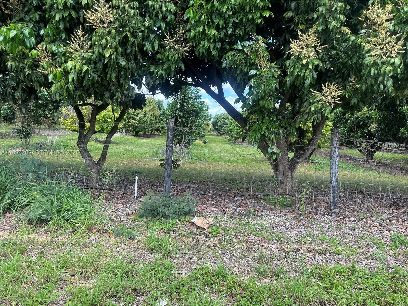 South Redland, Homestead, FL — 9