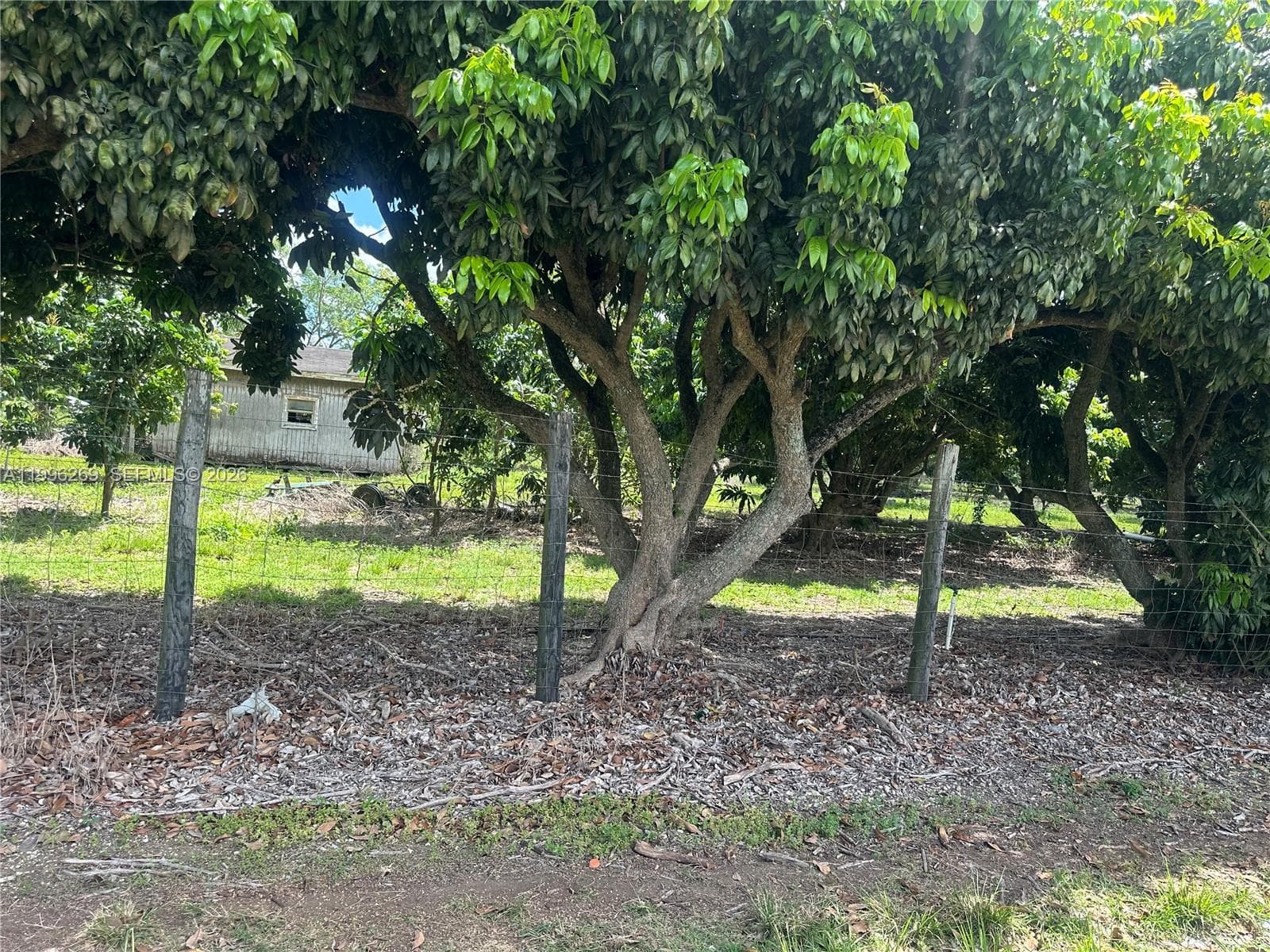 South Redland, Homestead, FL — 14