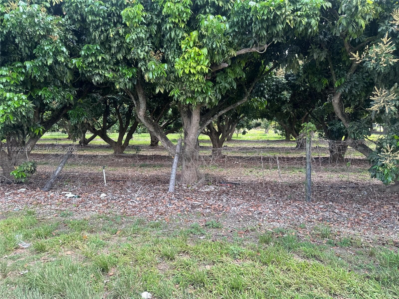 South Redland, Homestead, FL — 11
