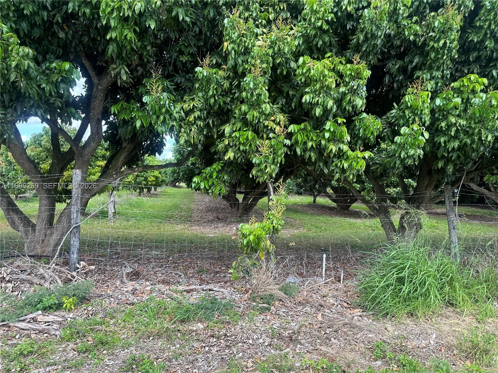 South Redland, Homestead, FL — 8