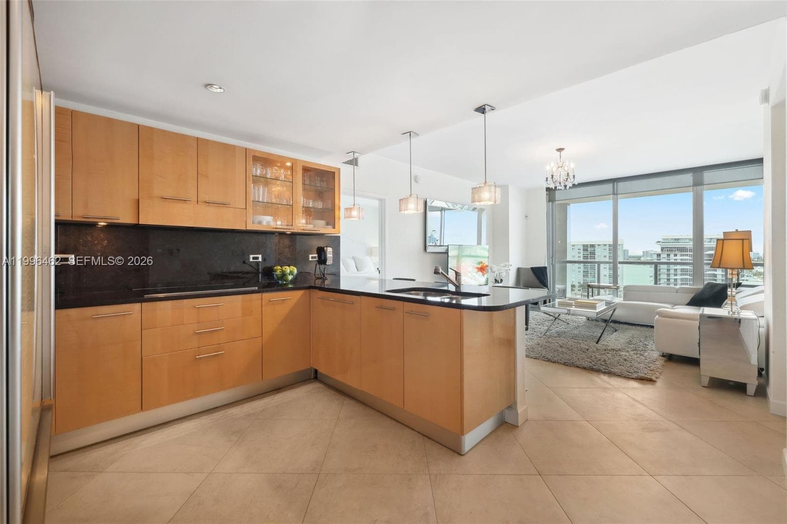 6799 Collins Ave # 1106, Miami Beach FL 33141 — 2