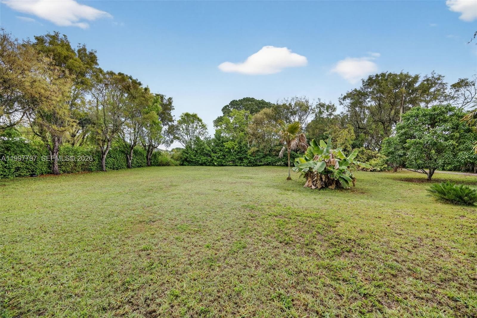19745 SW 244th St, Homestead FL 33031 — 5