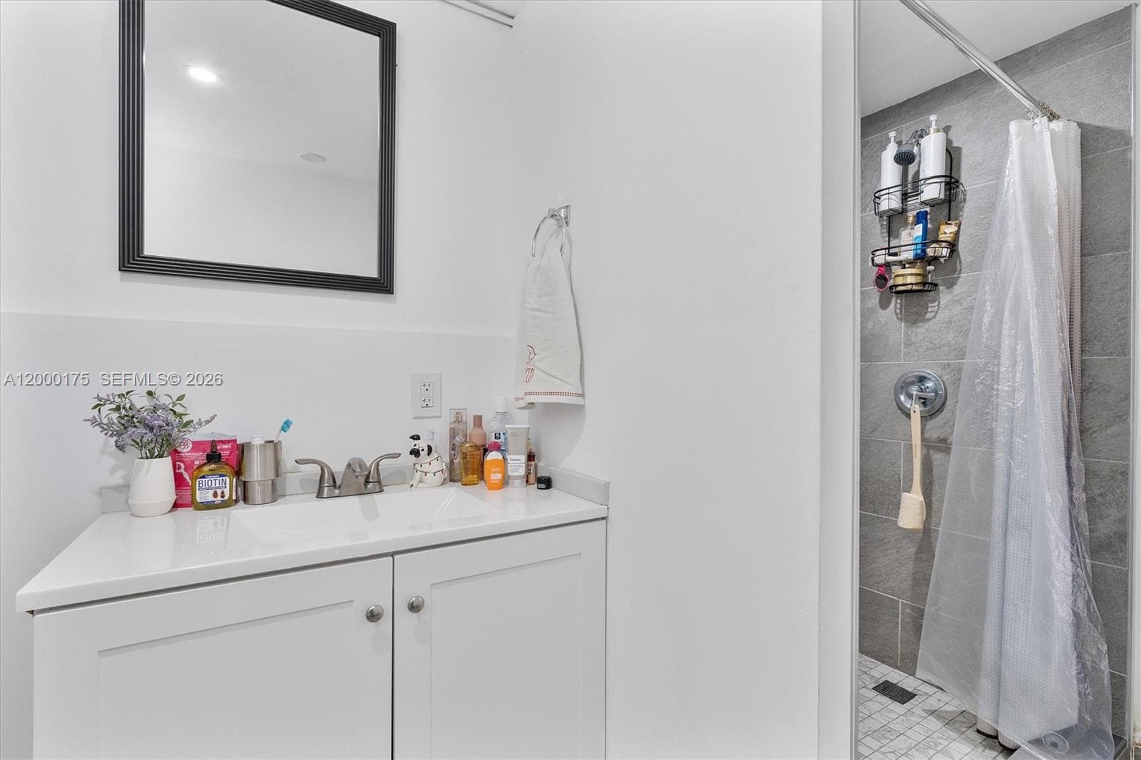 2231 SW 17th St, Miami FL 33145 — 24