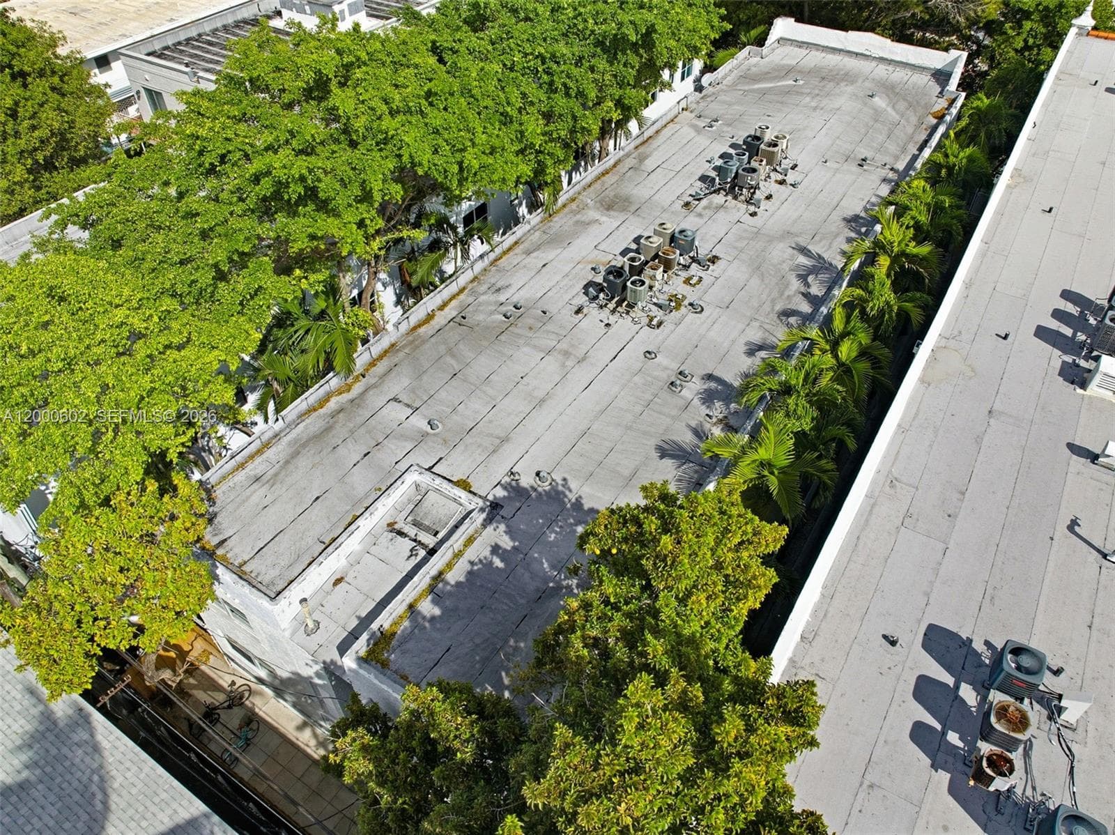1550 Drexel Ave # 207, Miami Beach FL 33139 — 25