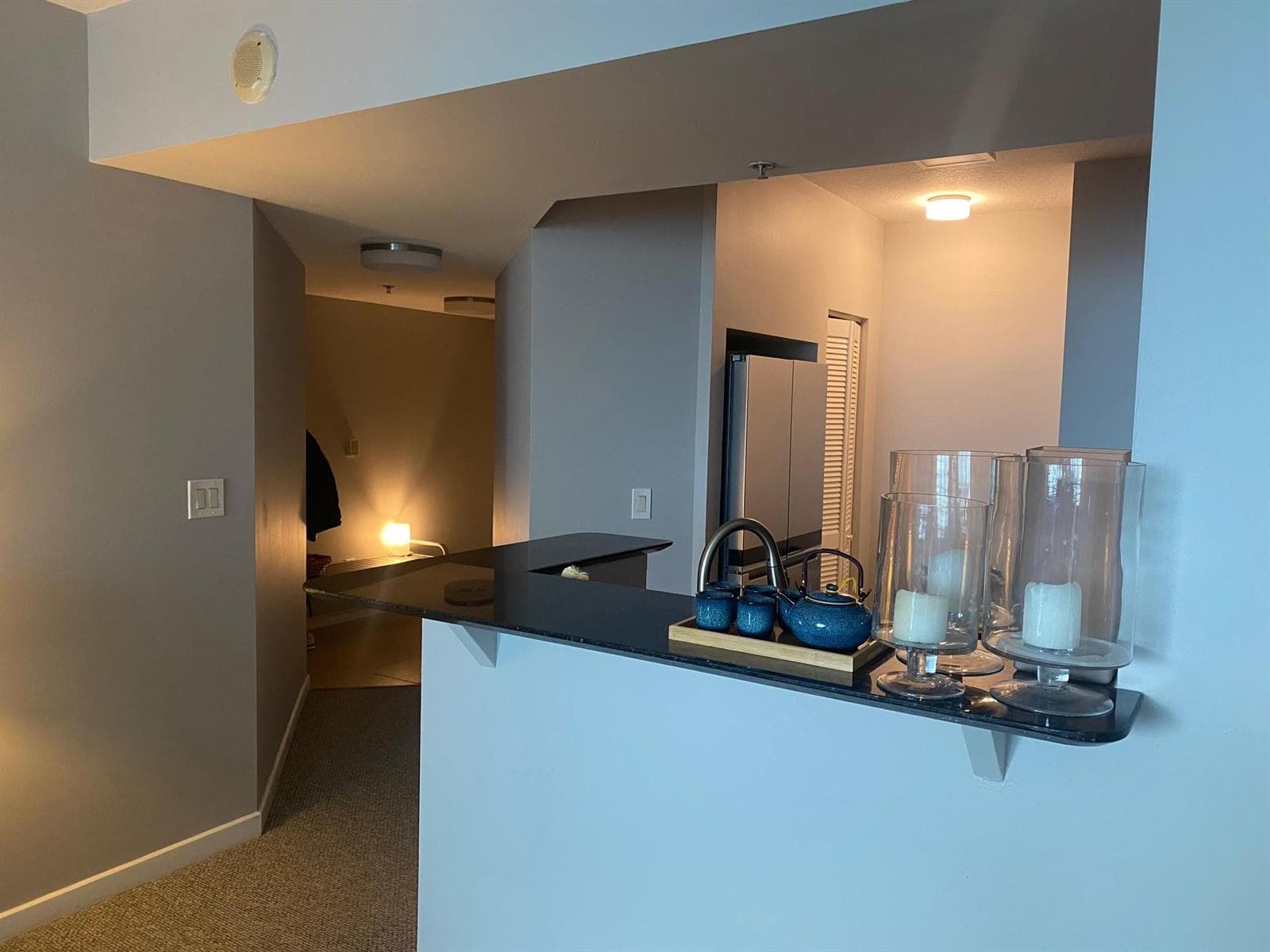 325 S Biscayne Boulevard # 2926, Miami FL 33131 — 11