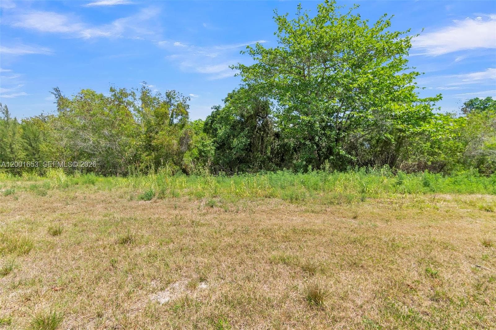 7830 SW 199th Ter, Cutler Bay FL 33189 — 31