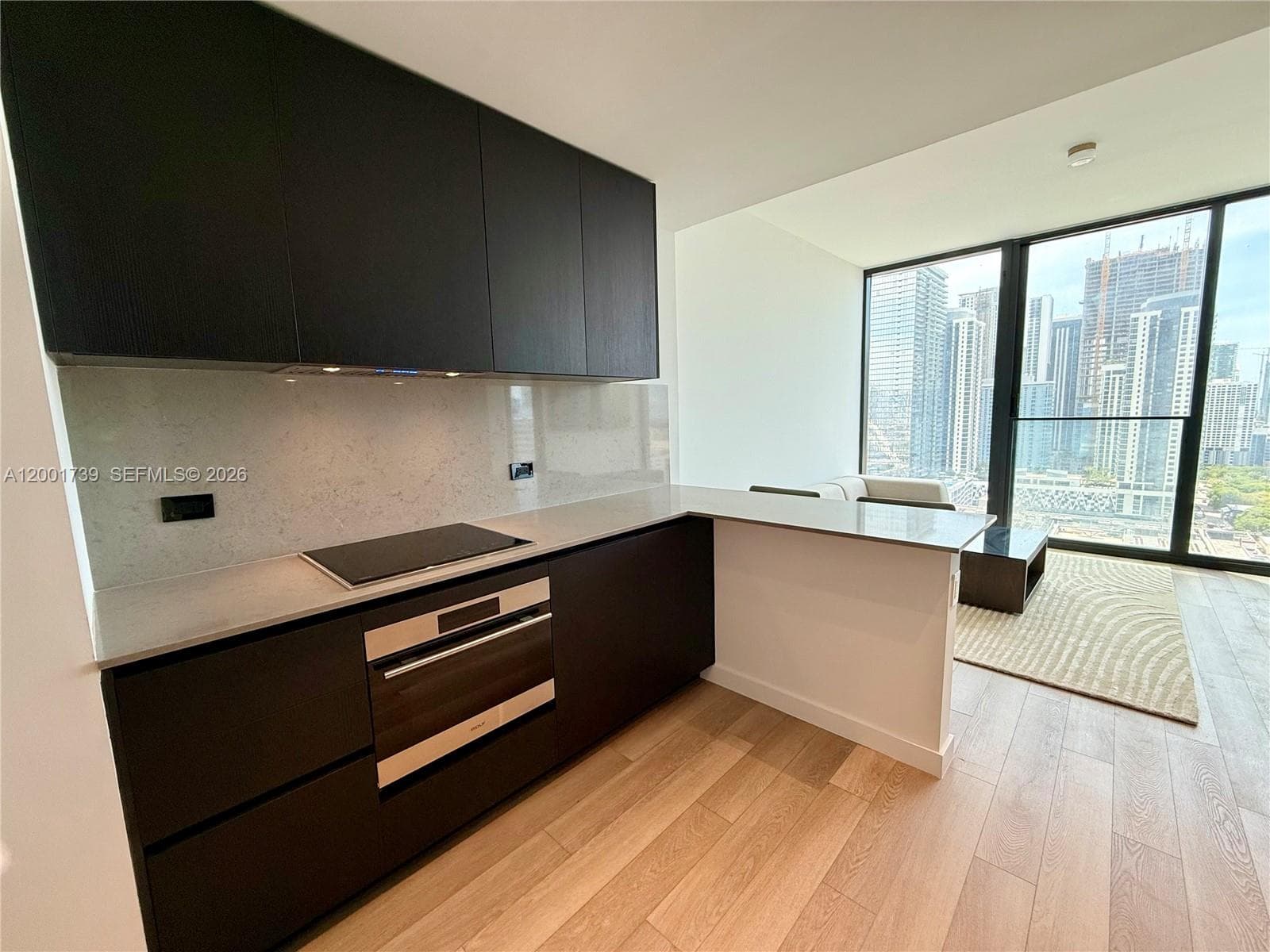 20 NE 11th St # 2809, Miami FL 33132 — 8
