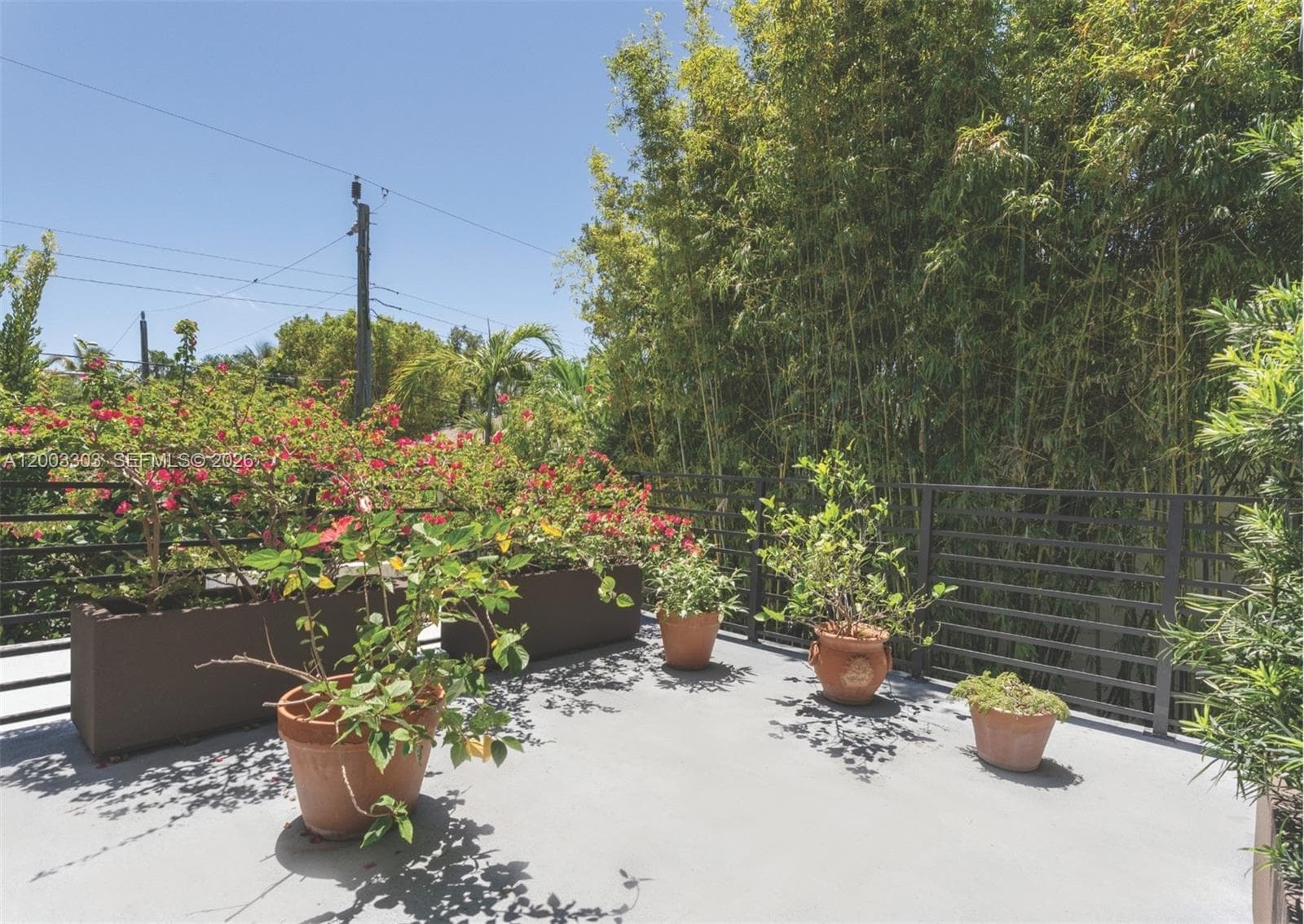 2955 Shipping Ave # 2955, Miami FL 33133 — 33