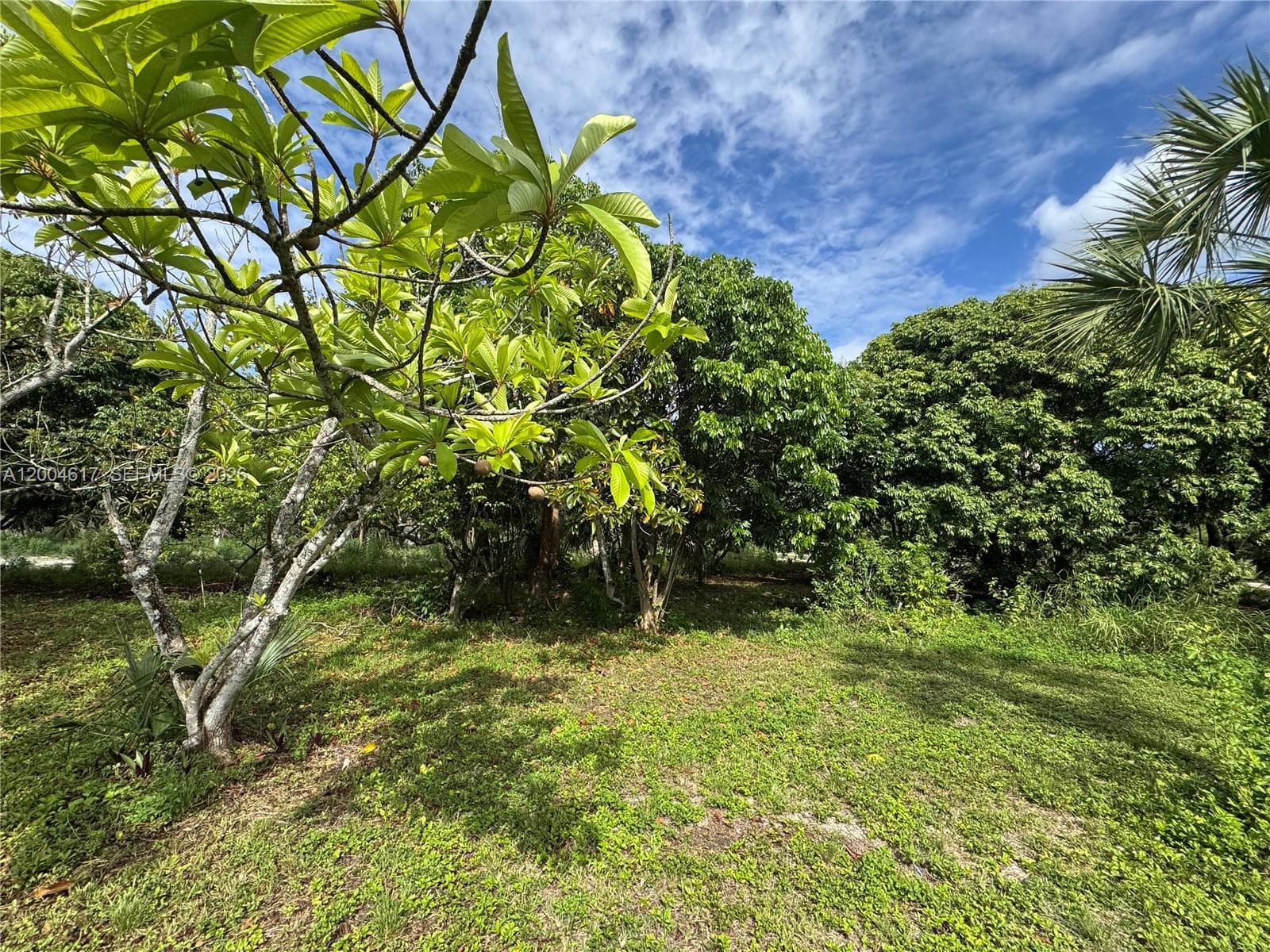24000 SW 167th Ave, Homestead FL 33031 — 10