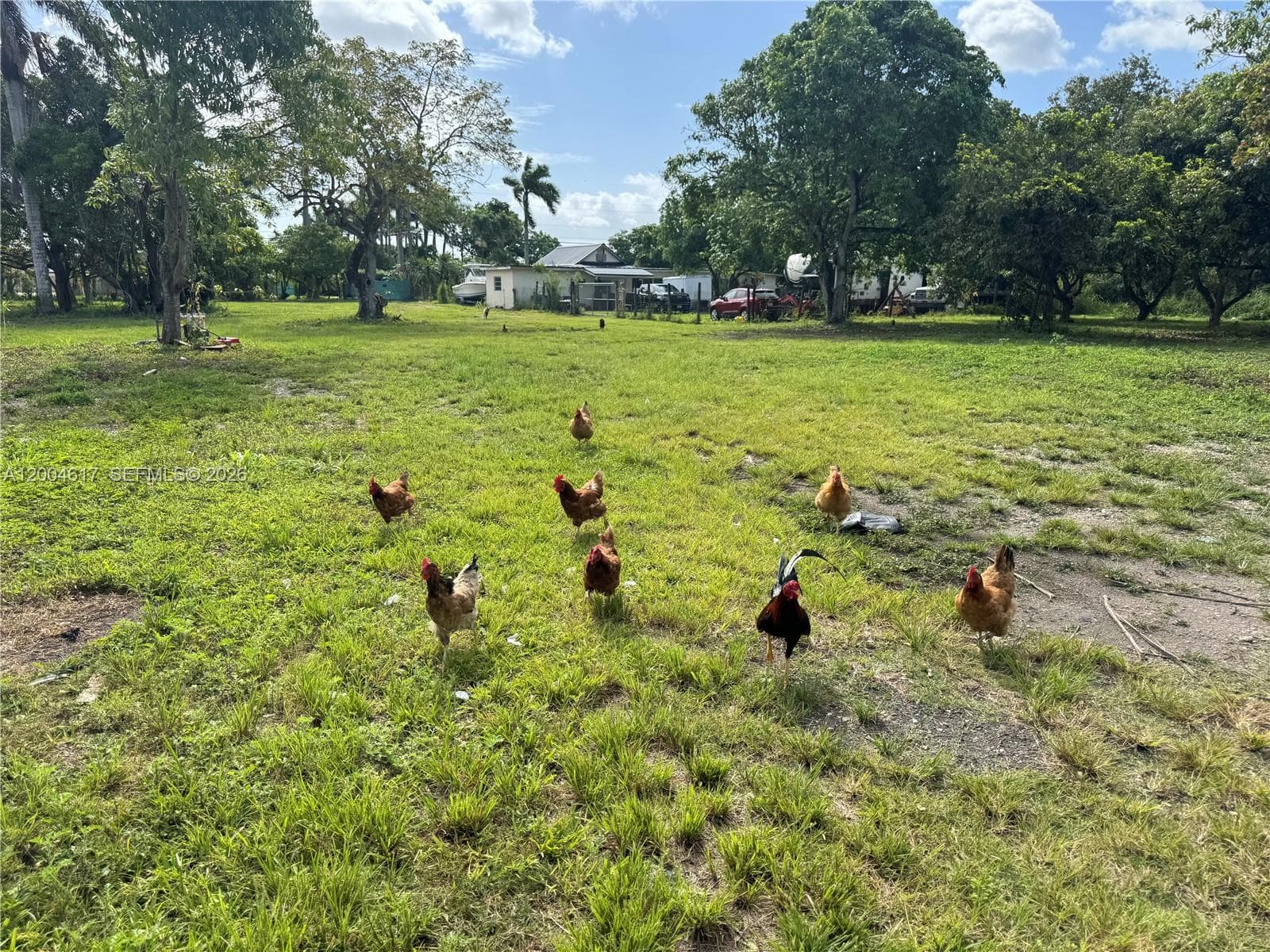 24000 SW 167th Ave, Homestead FL 33031 — 33