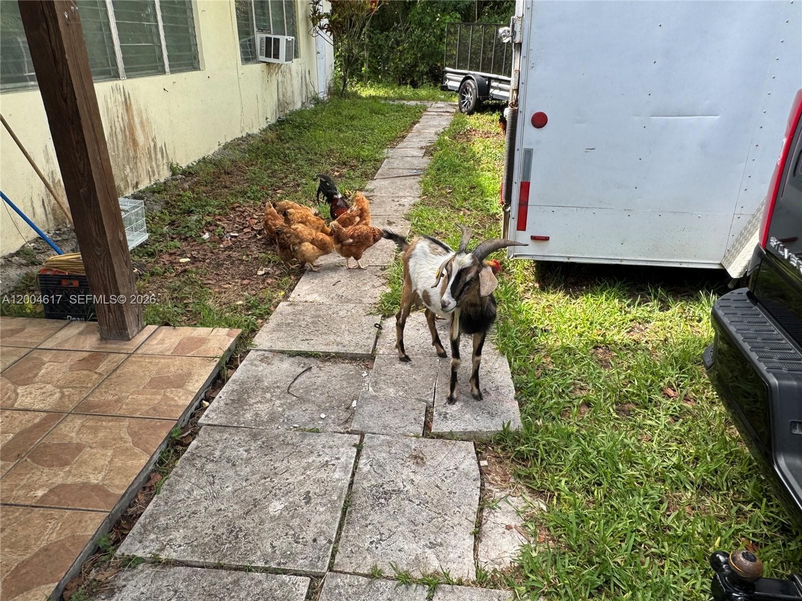24000 SW 167th Ave, Homestead FL 33031 — 15