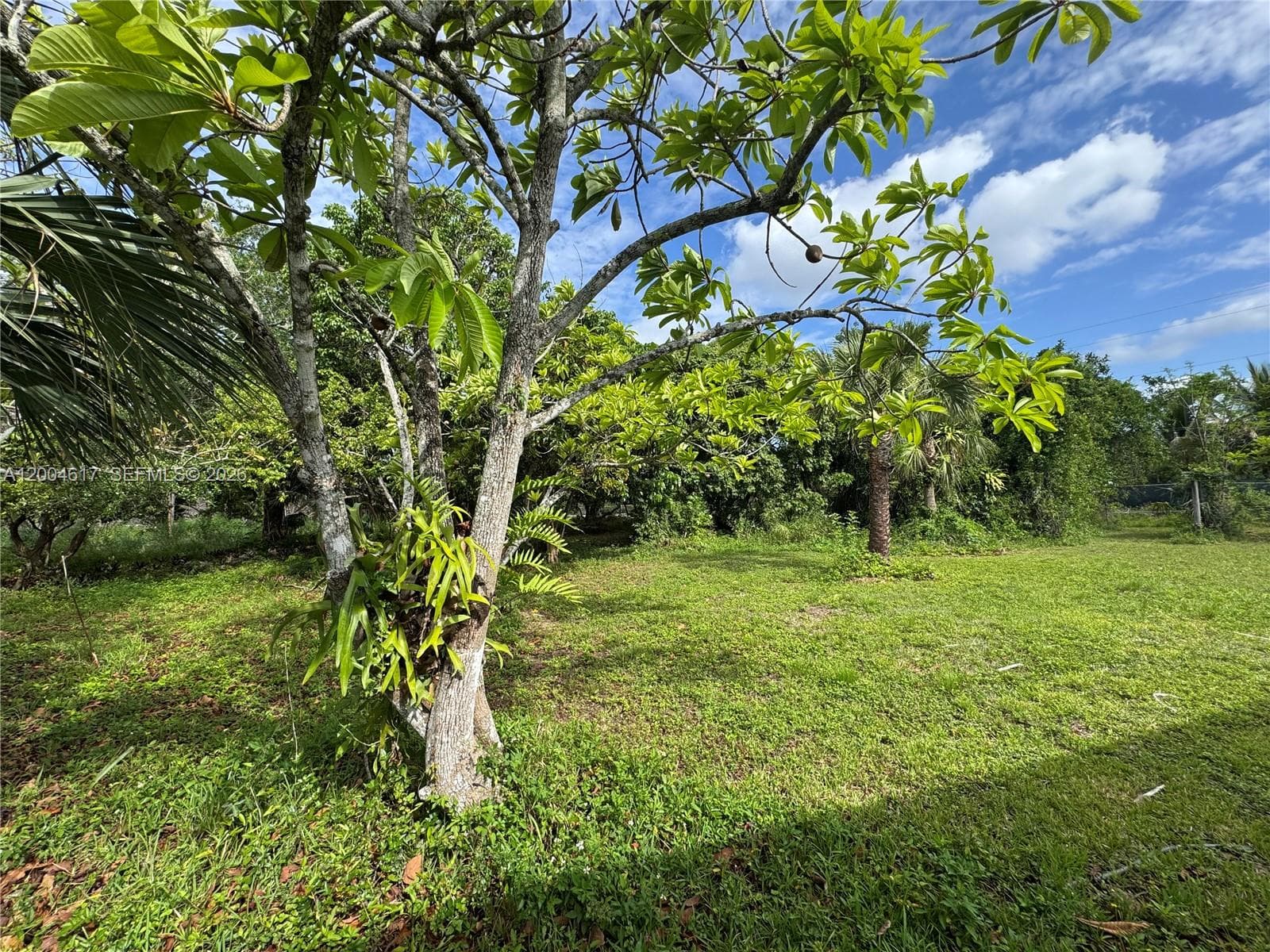 24000 SW 167th Ave, Homestead FL 33031 — 11