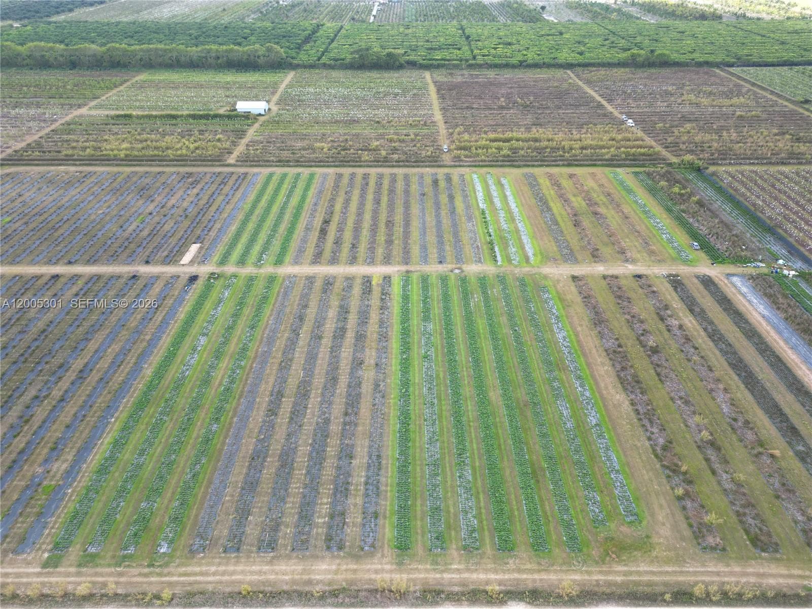 34000 SW 222th Ave, Homestead FL 33034 — 2
